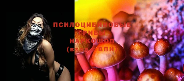 гидра Баксан