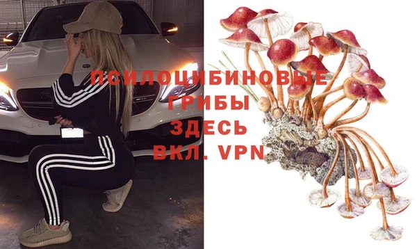 гидра Баксан