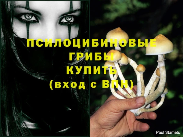 гашик Балахна
